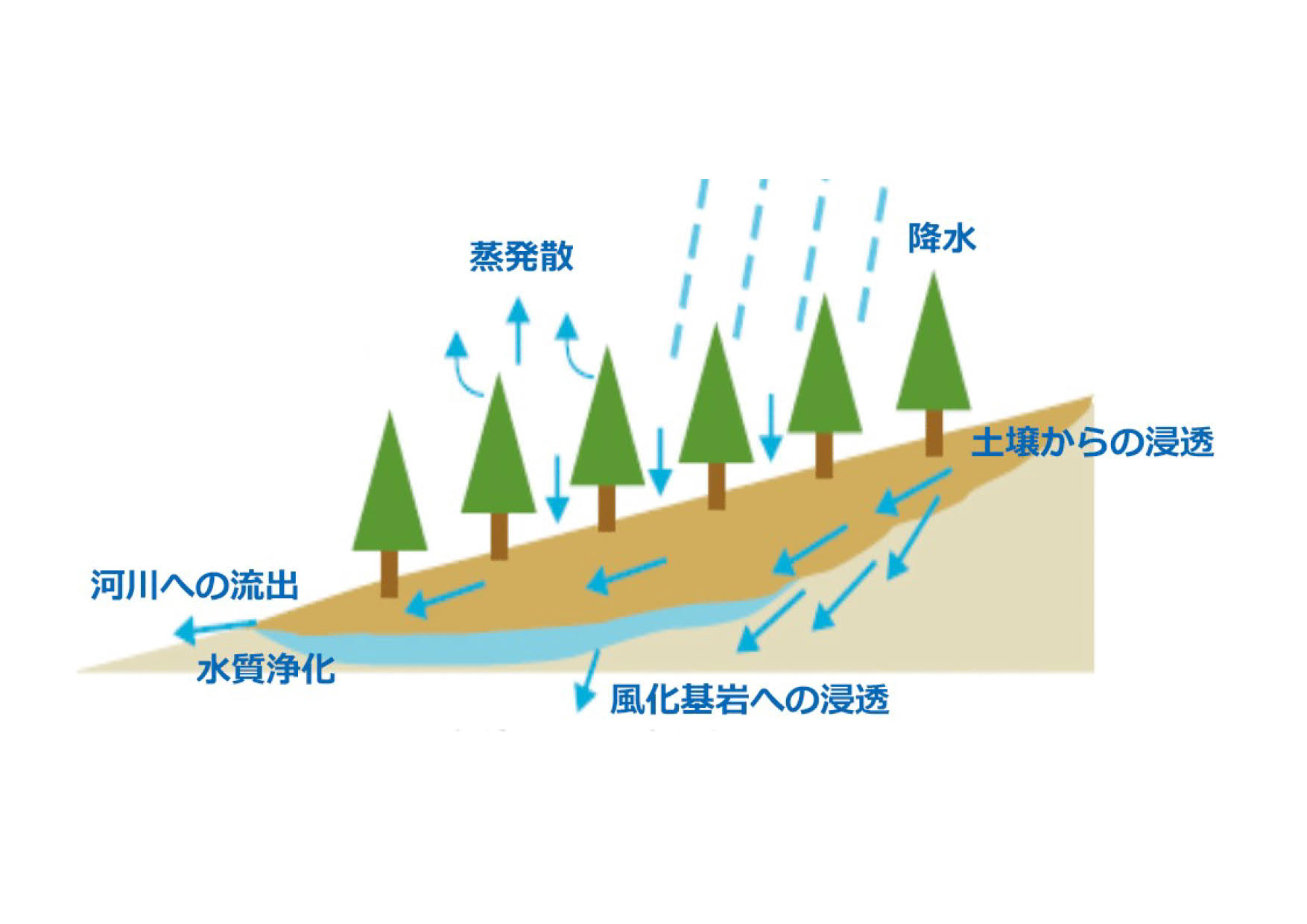 木の生活２ - Ivoryhome HOLZ309